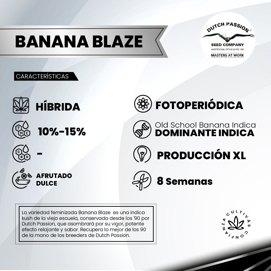 BANANA BLAZE 2