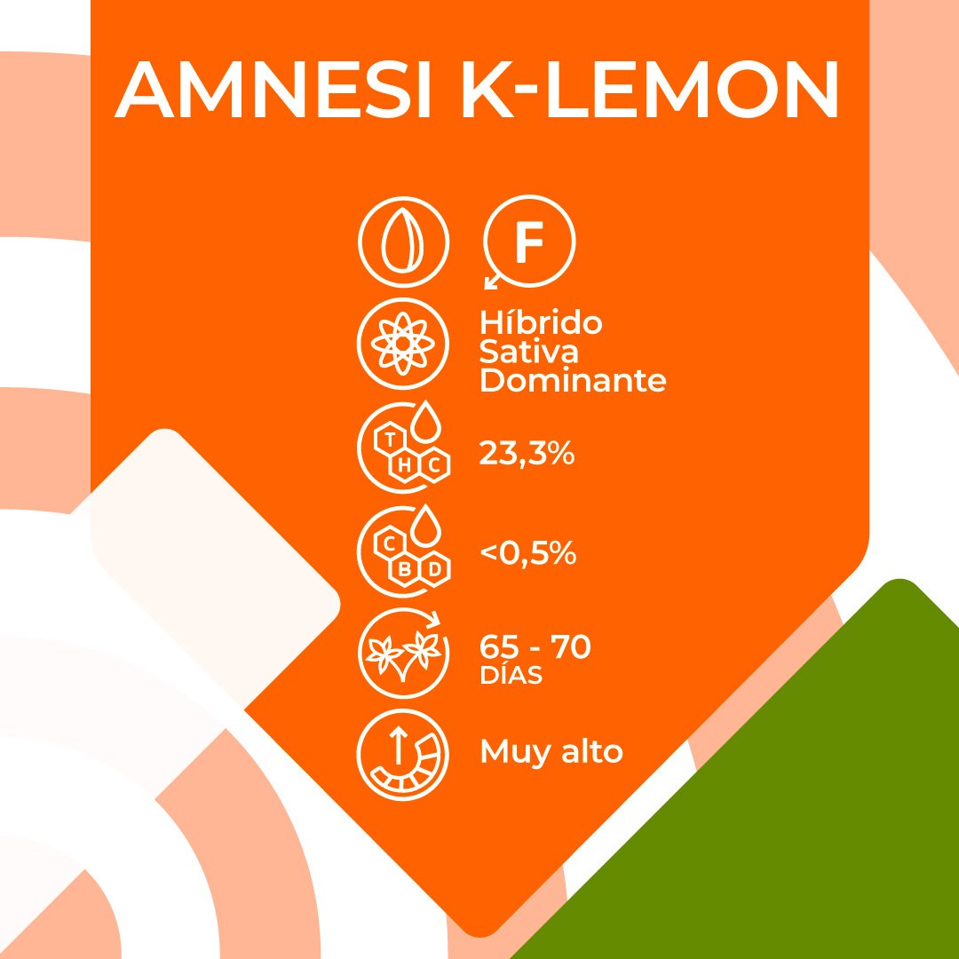 Img-Web_Caracteristicas_Kannabia-Amnesi-K-Lemon