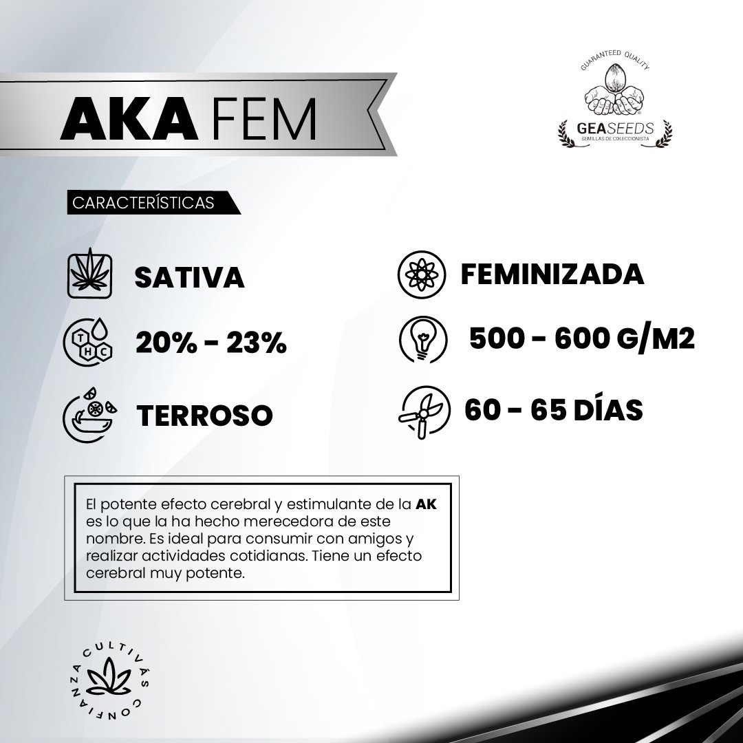 AKA FEM 2