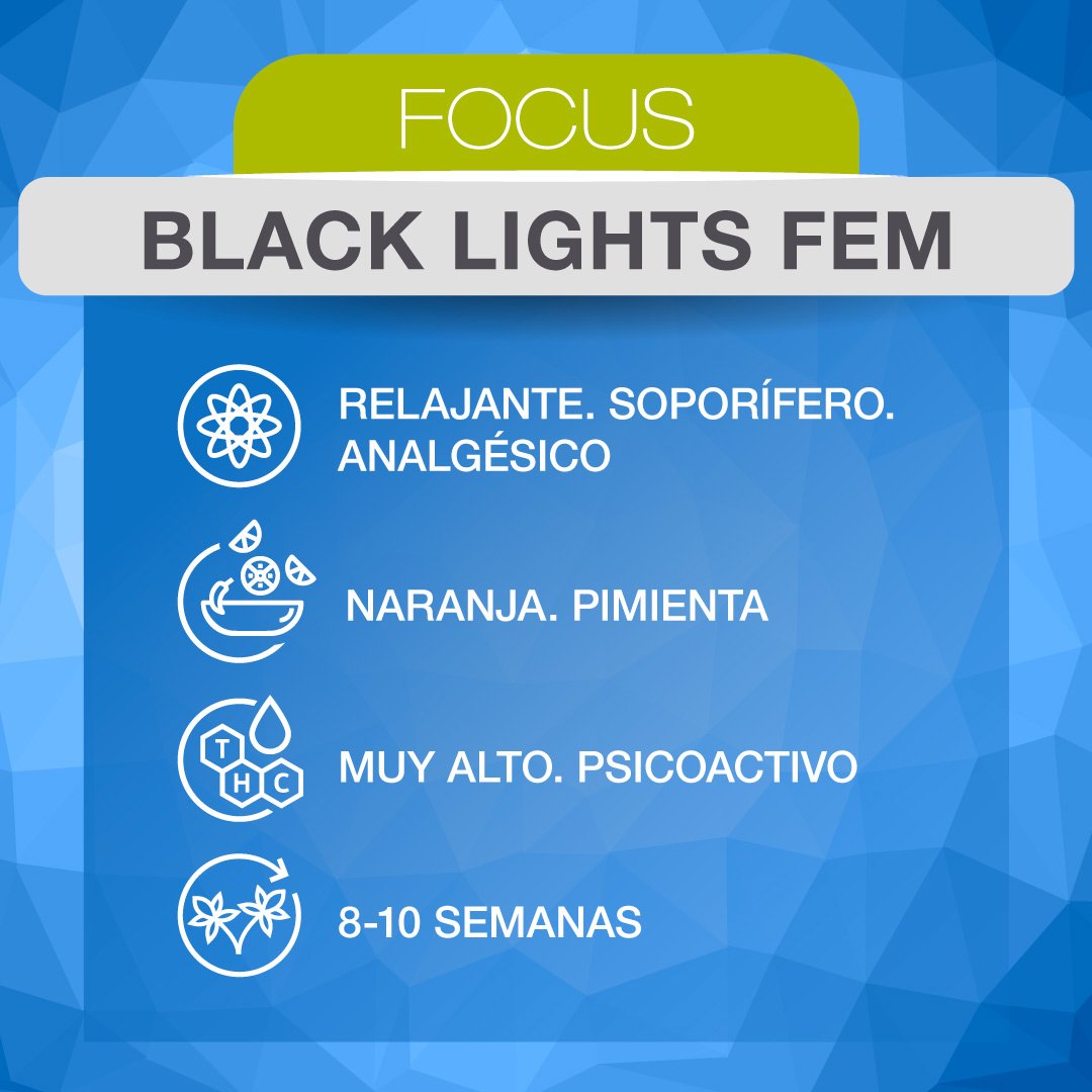 Web-Genetica_ADN-BlackLightsFem-2
