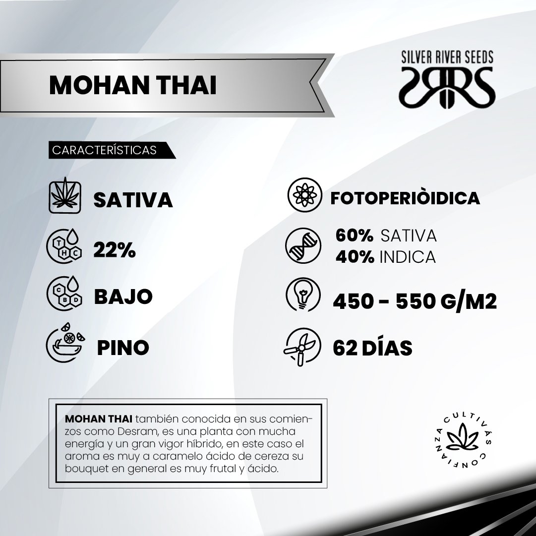 MOHAN THAI 2