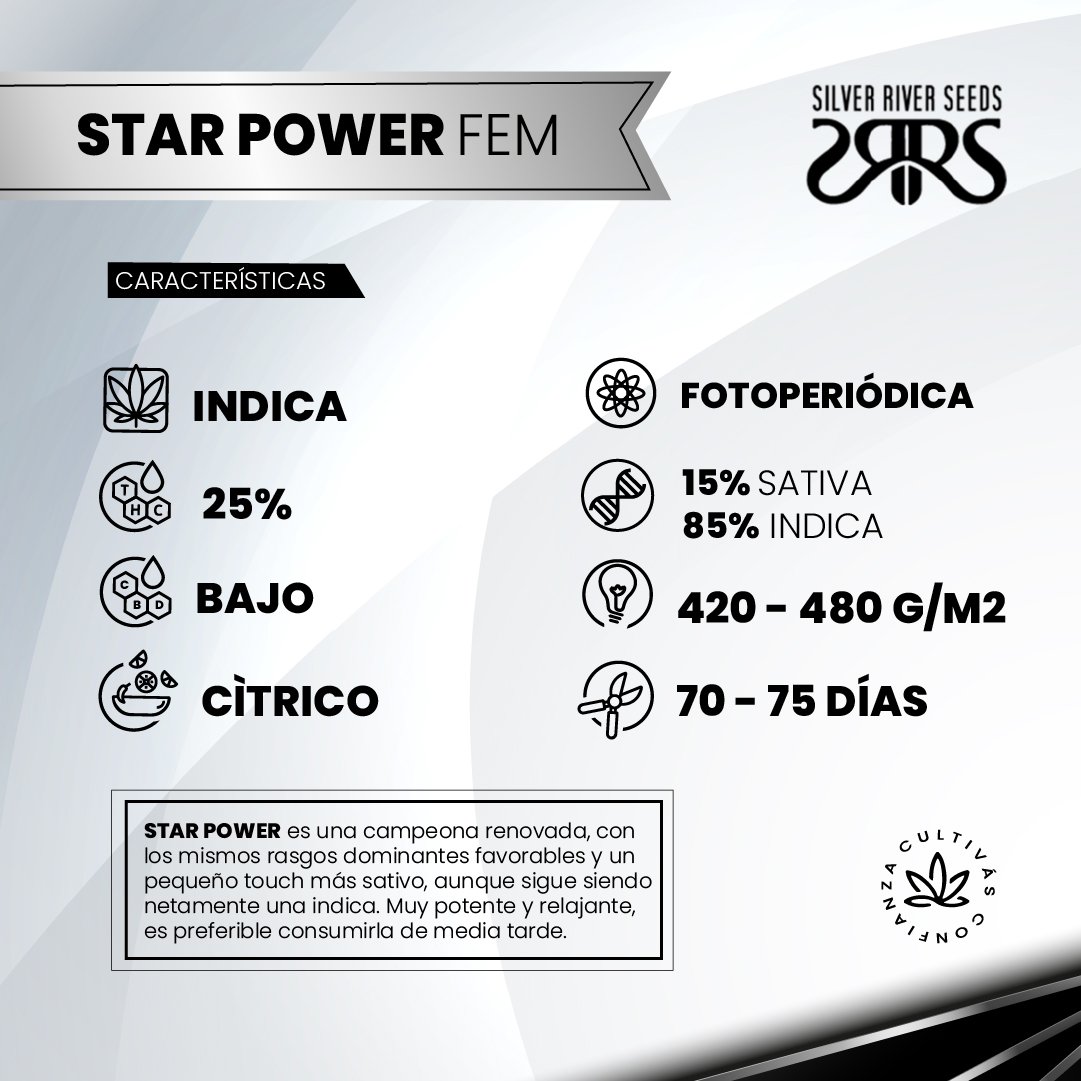 STAR POWER FEM 2