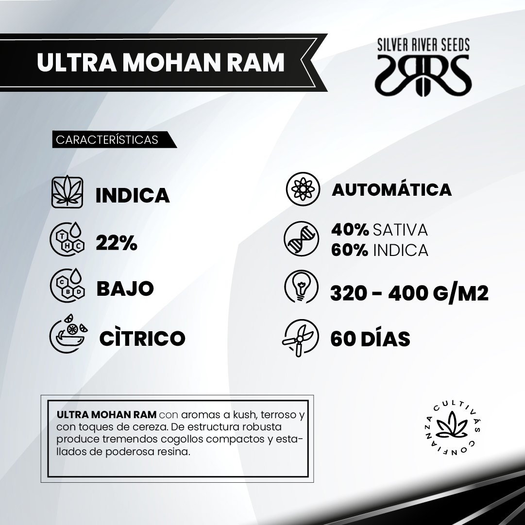 ULTRA MOHAN 2