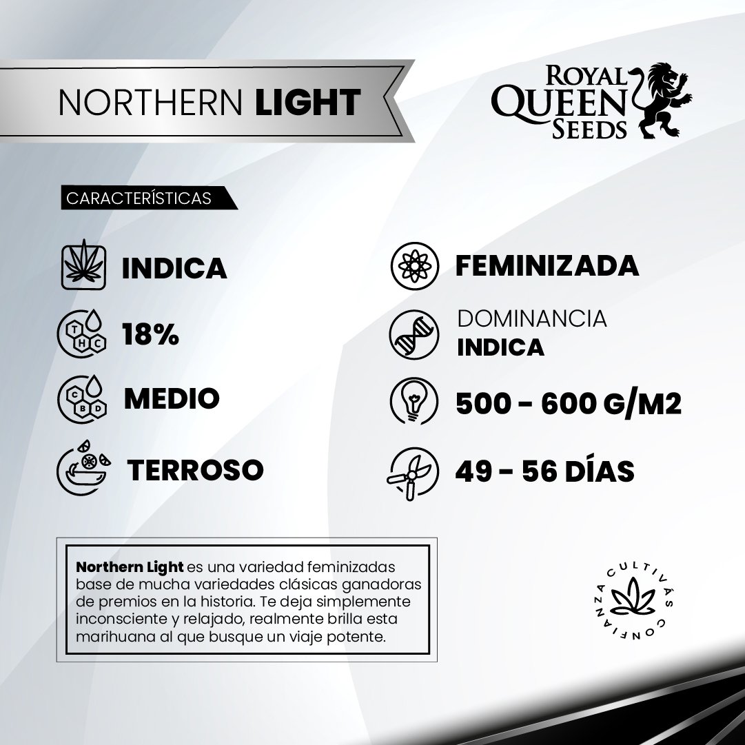 NORTHERN LIGHT 2
