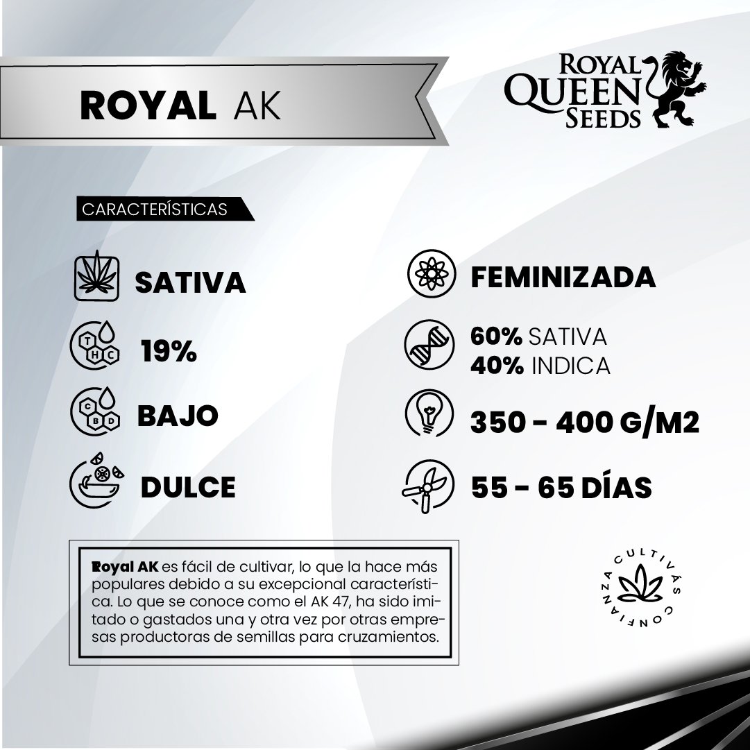 ROYAL AK 2
