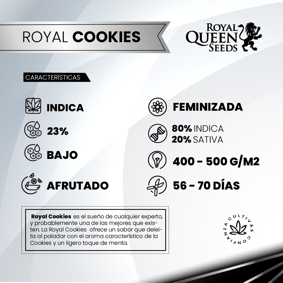 ROYAL COOKIES 2
