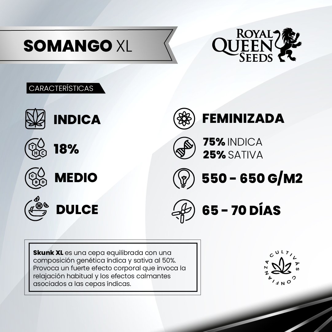 SOMANGO XL 2