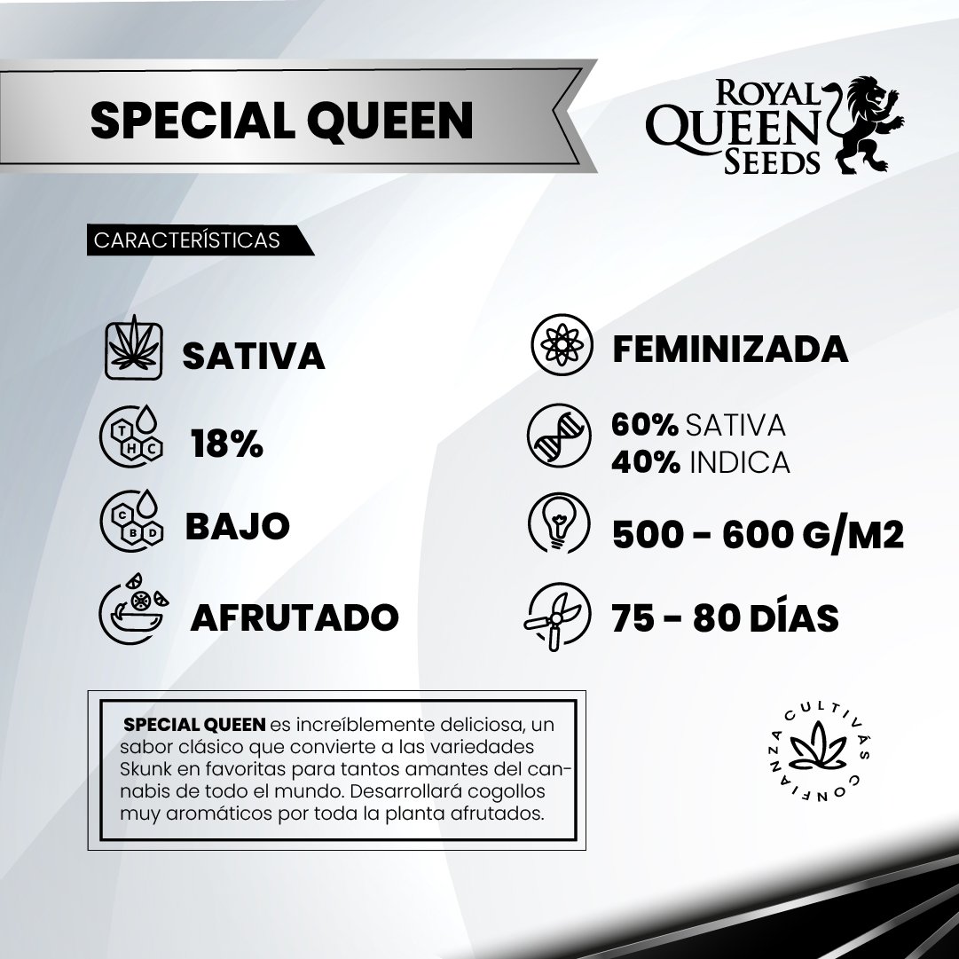 SPECIAL QUEEN 2