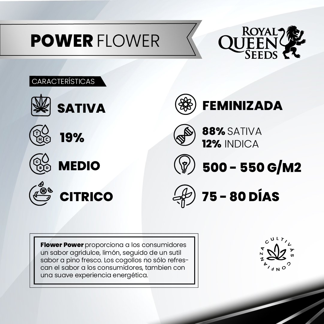 power flower 2