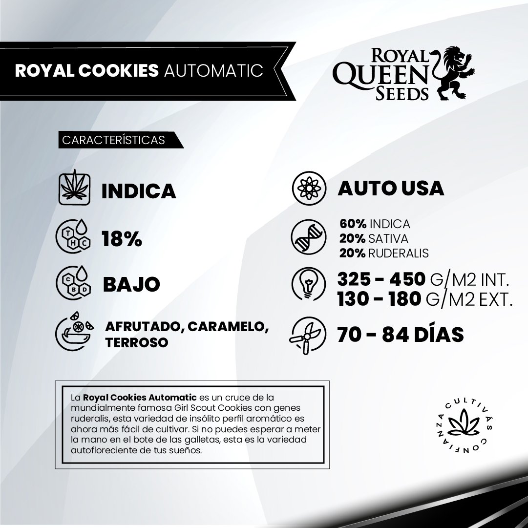 royal cookies-02