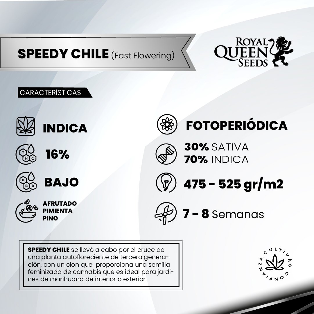 CHILE 2