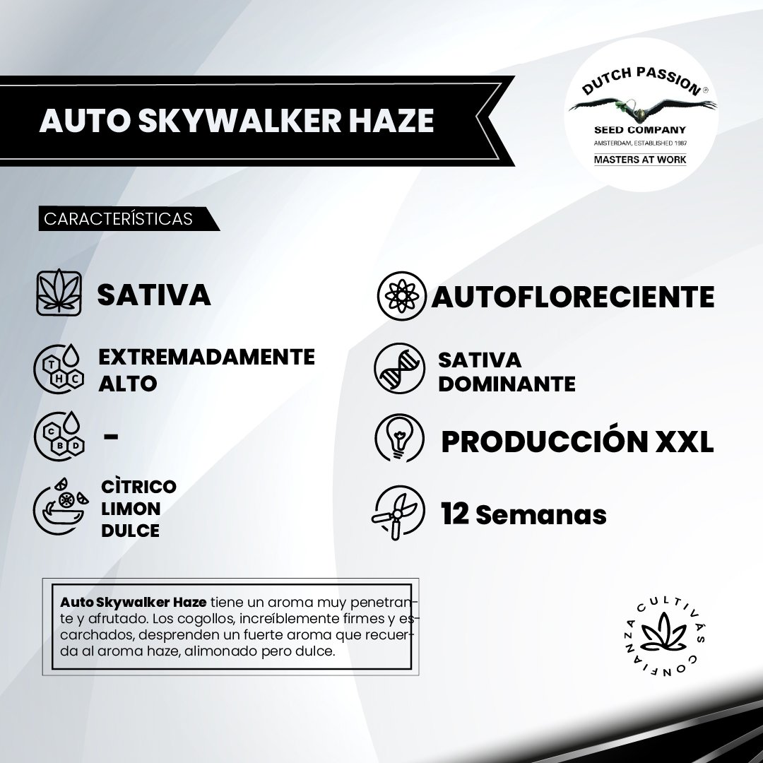 AUTO SKYWALKER HAZE 2