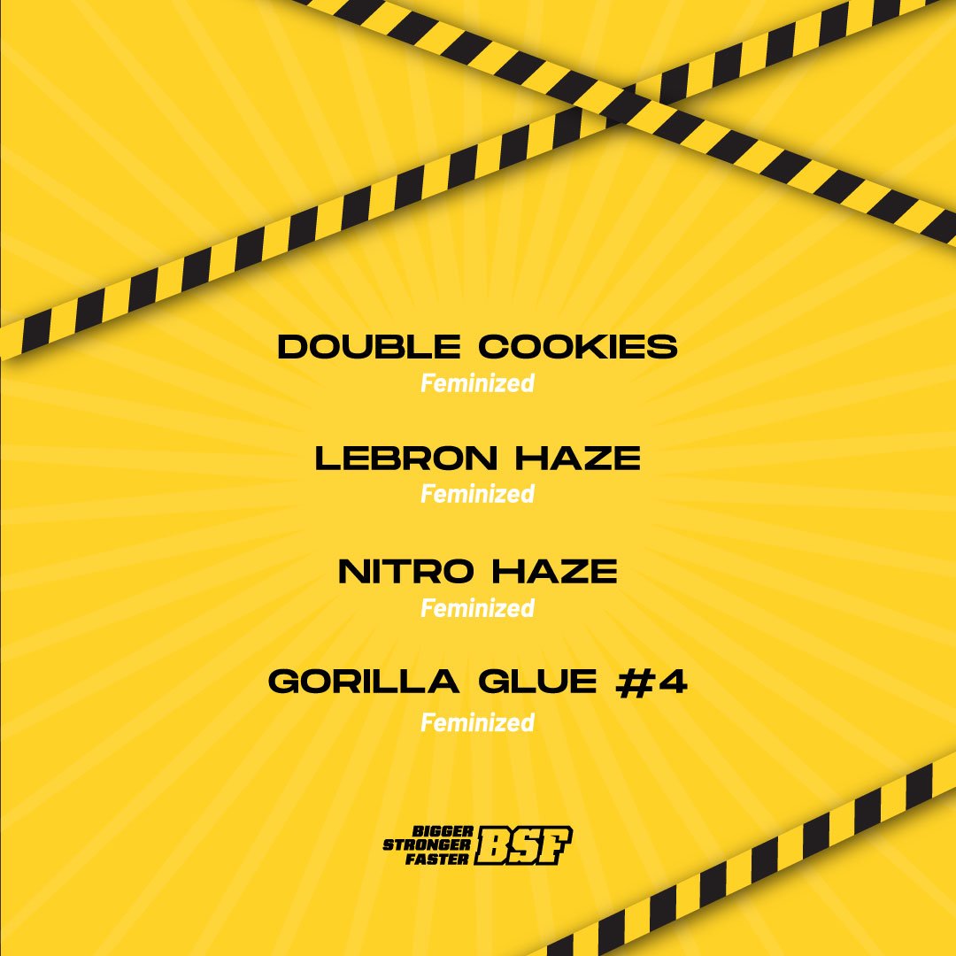 NUEVOS-MIXES-BSF-GRAFICAS-WEB-HIGH-VOLTAGE-2 (1)